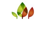 Logotipo de Sociedad Cooperativa San Antonio Santa Rita