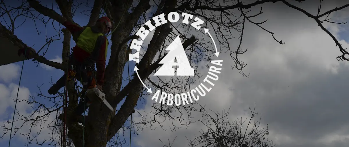 Arbihotz Arboricultura: arborista trabajando en un árbol con el logotipo de la empresa superpuesto