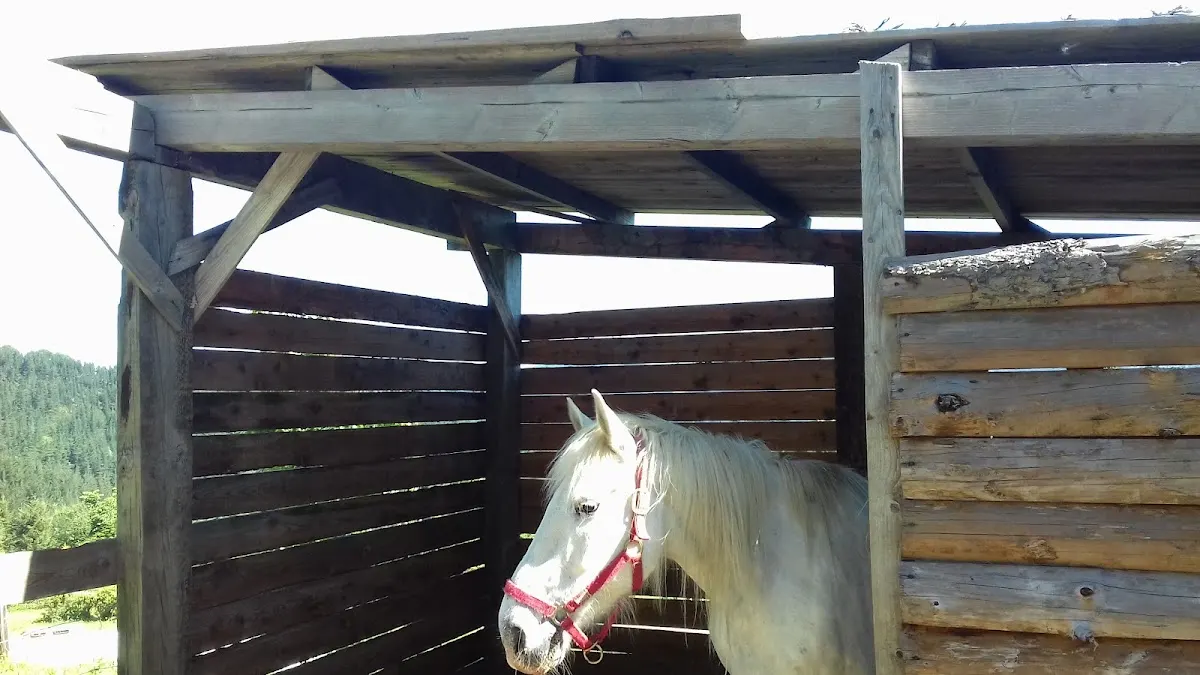 Caballo bajo un cobertizo de madera en Casa Rural Dukebaso