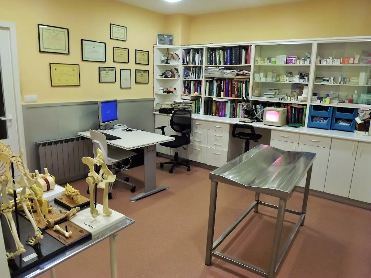 Sala de consulta del Centro Clínico Veterinario del Duranguesado