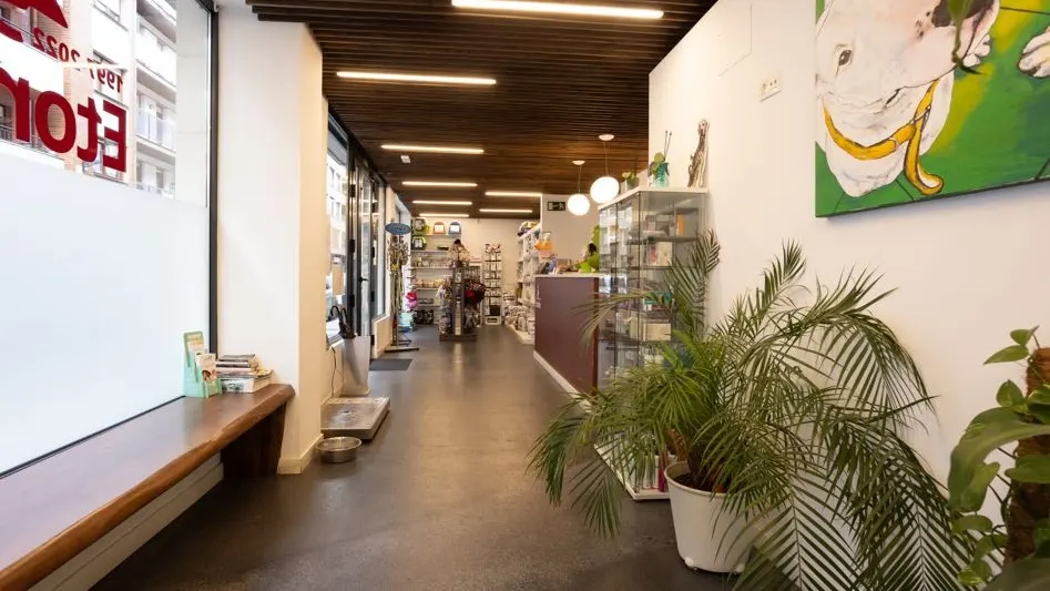 Interior de la Clínica Veterinaria Etorbide Amorebieta, con mostrador y plantas.