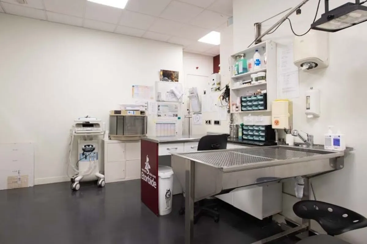 Sala de atención veterinaria de Clínica Veterinaria Etorbide Durango.