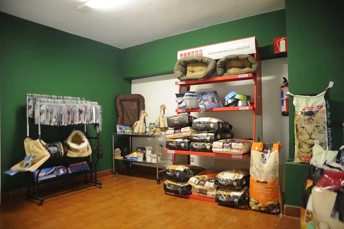 Interior de la tienda de Clínica Veterinaria Gure Kide, con camas y productos para animales.