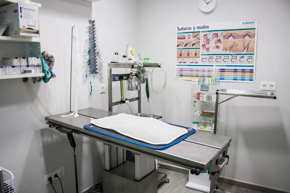 Sala de exploración y tratamiento veterinario de Clínica Veterinaria Gure Kide.