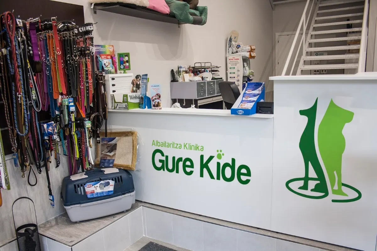 Mostrador de recepción de Clínica Veterinaria Gure Kide, con accesorios para animales.
