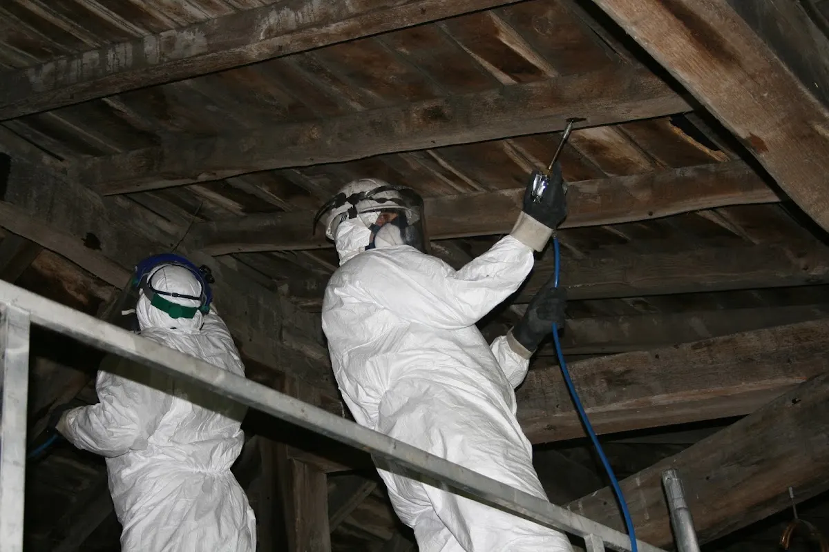 Técnicos de Técnica Sanitaria realizan un tratamiento en una estructura de madera.