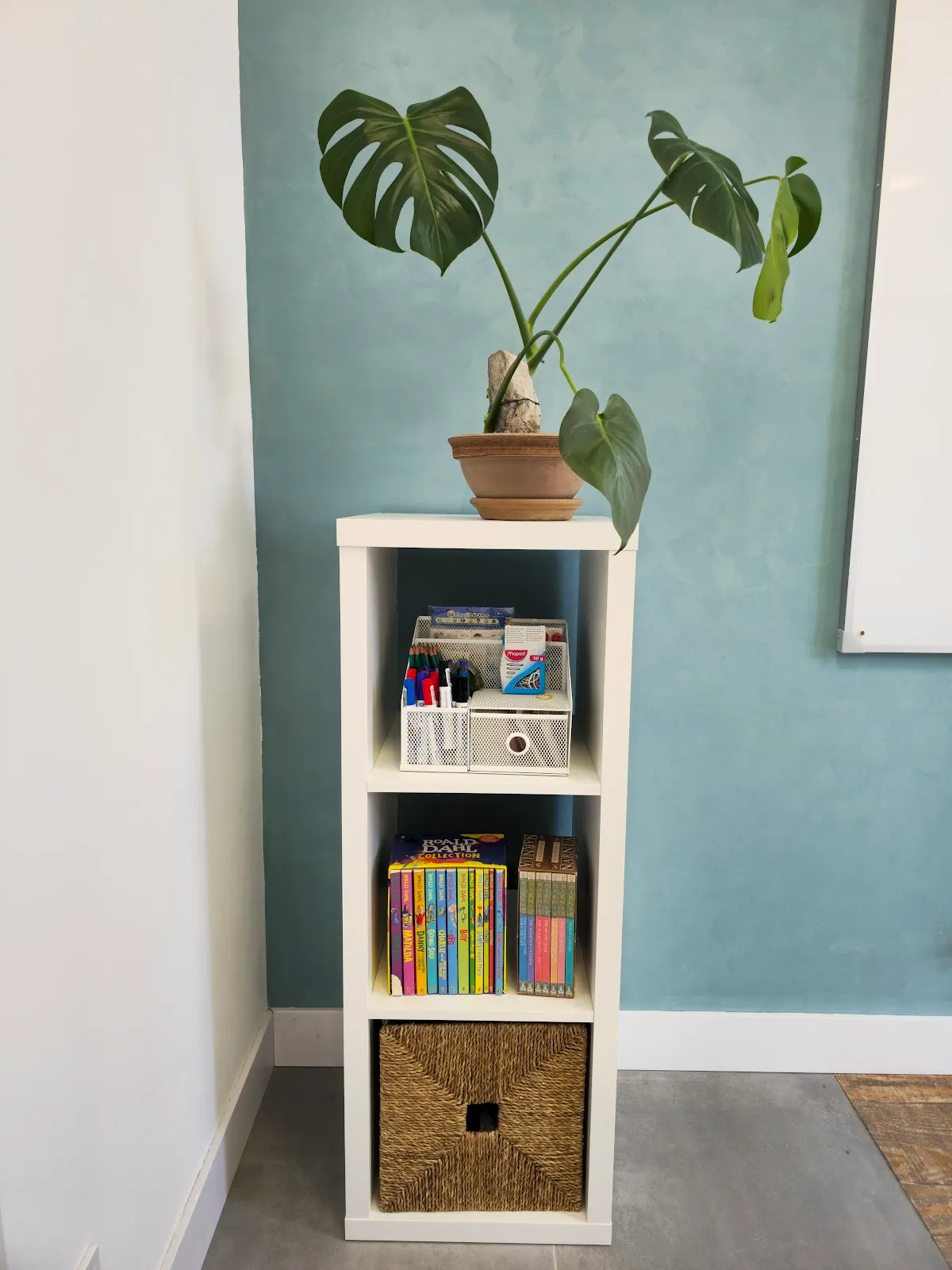 Planta y estantería con material didáctico en English Connect