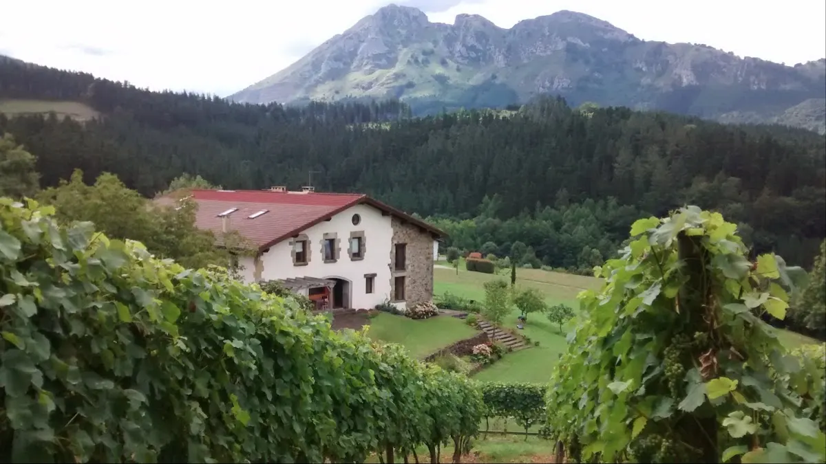 Esteñibar Baserria entre viñedos, con un paisaje montañoso al fondo.