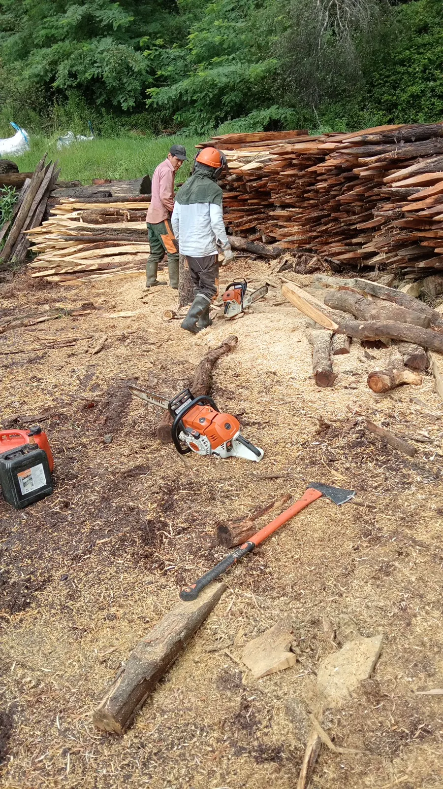 Trabajadores y herramientas junto a madera apilada durante labores forestales de Forestales y Jardinería Loois.
