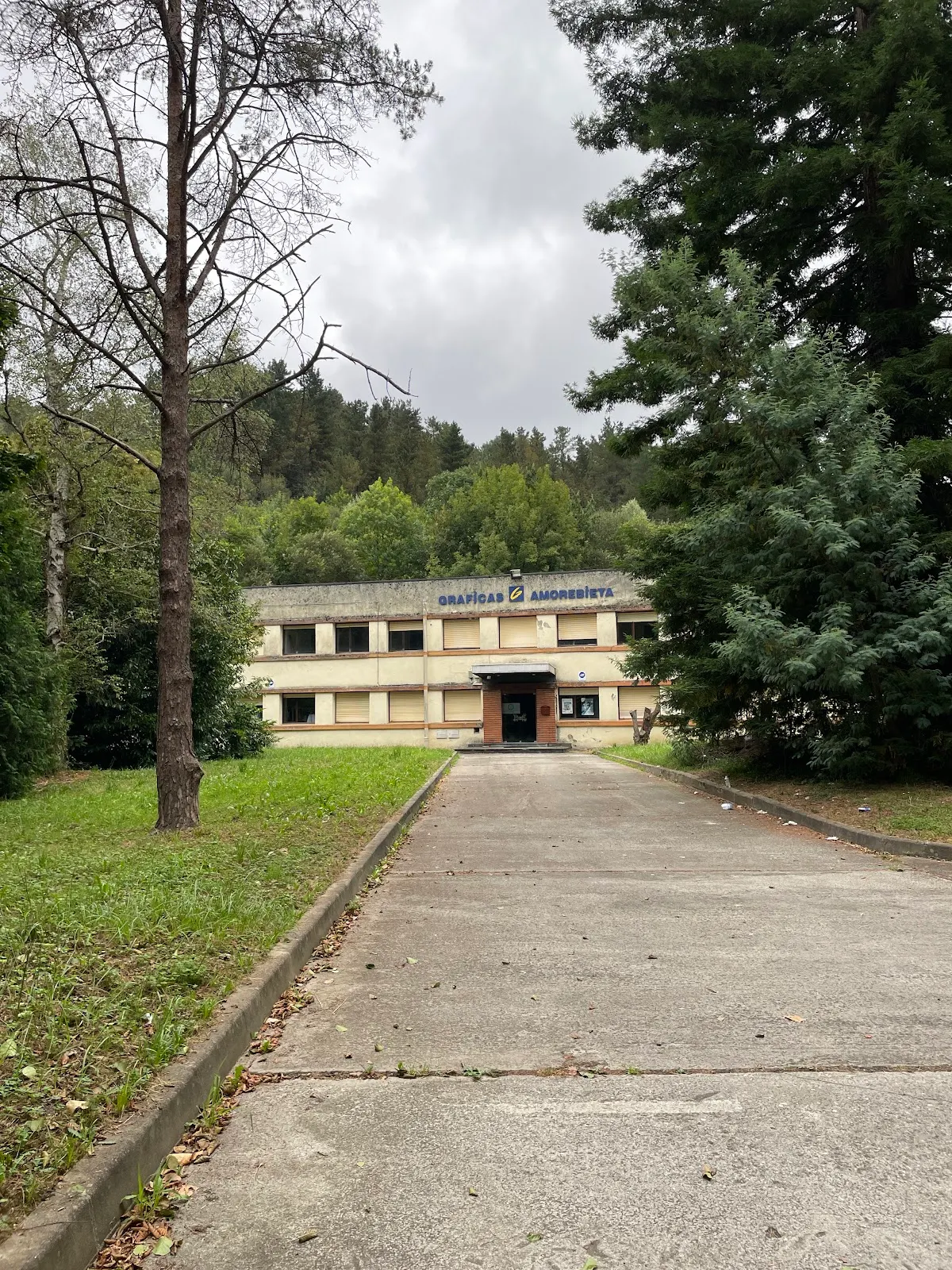 Edificio de Gráficas Amorebieta entre árboles, visto desde el camino de entrada.