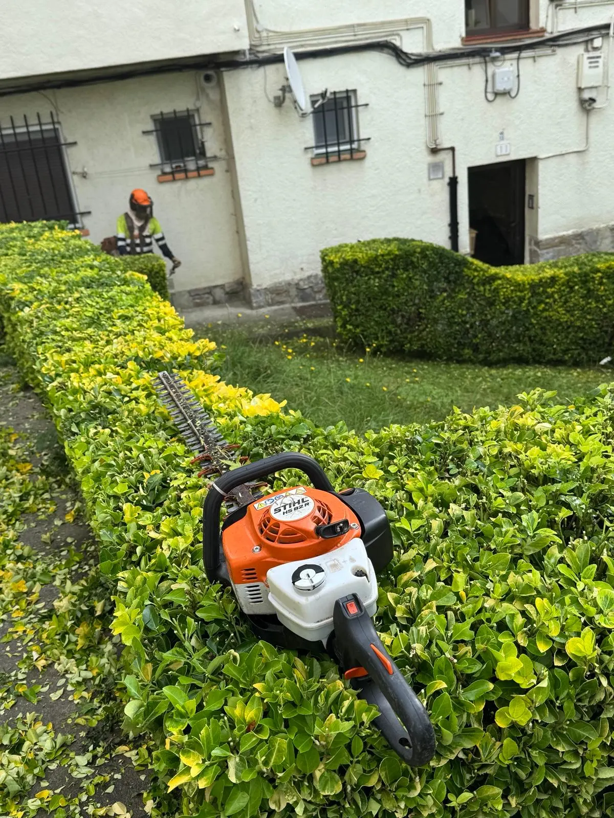 Una máquina cortasetos sobre un seto y una persona trabajando en un jardín para GRUPO LOREZAINA S.L.
