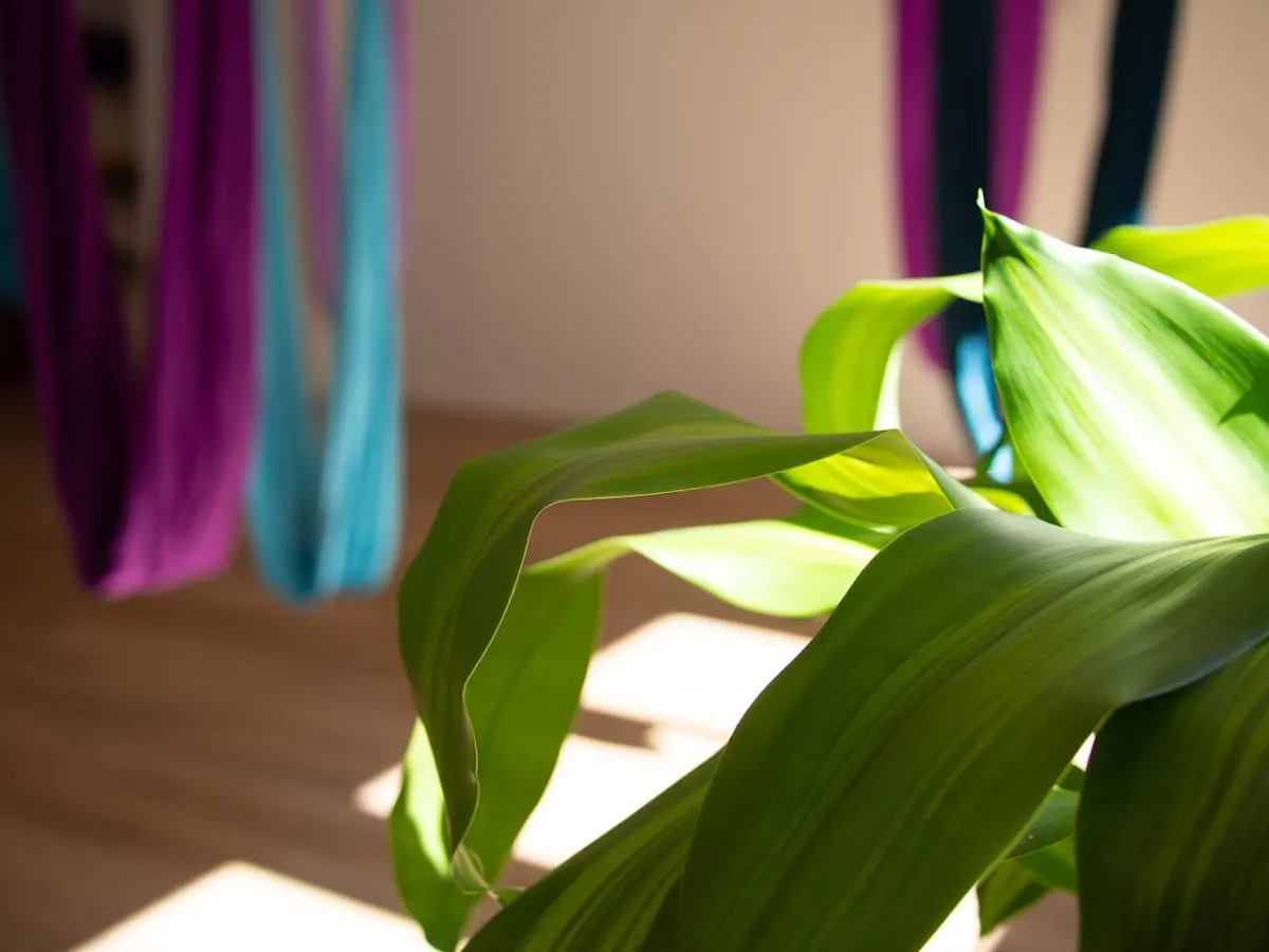 Planta de hojas verdes iluminada por el sol, con telas de colores al fondo.