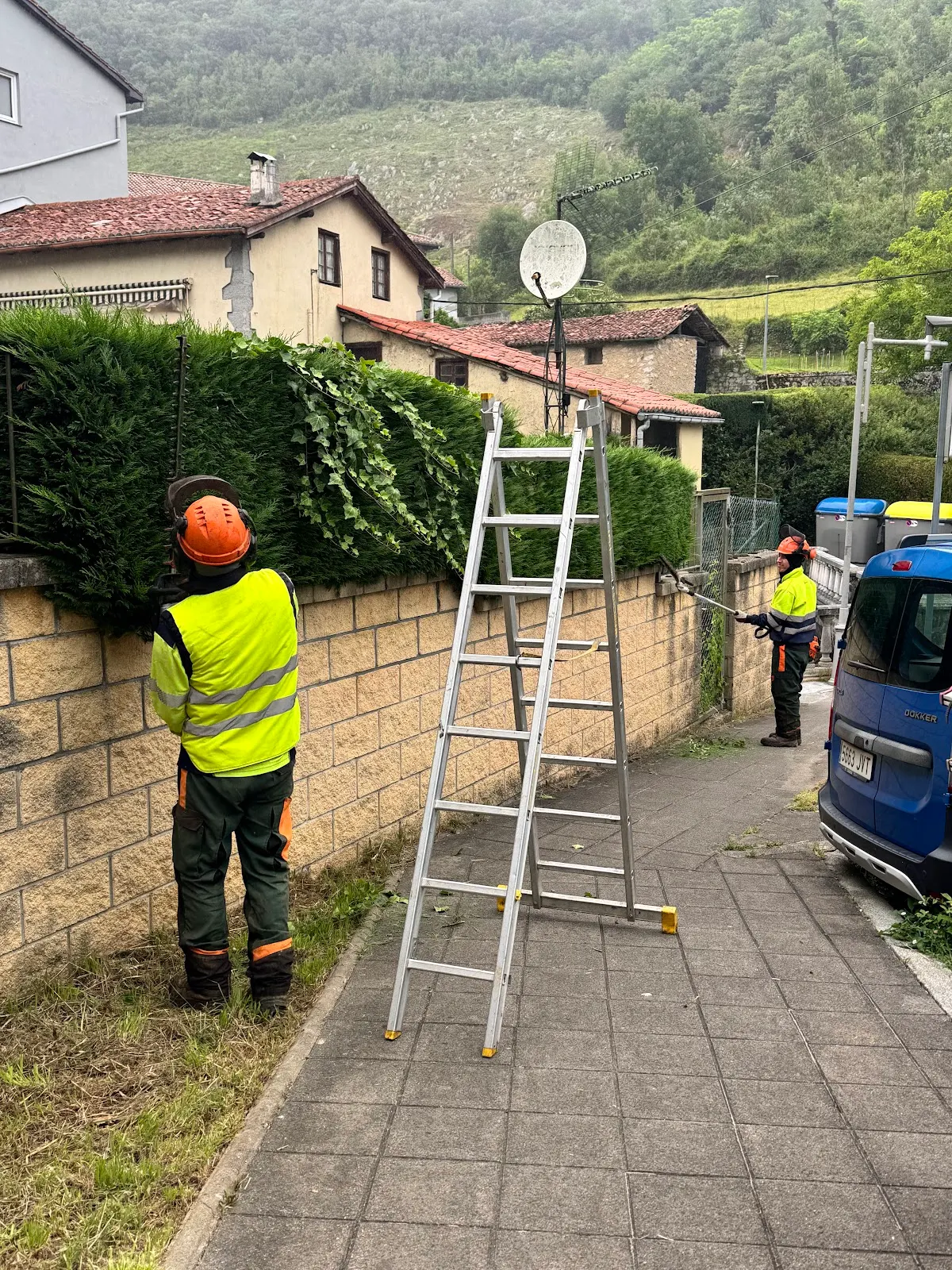 Trabajadores realizando tareas de mantenimiento de vegetación junto a una vivienda.