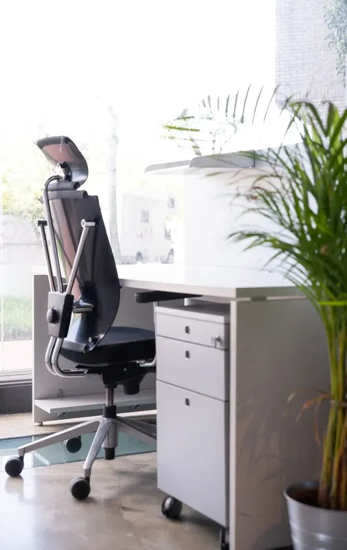 Espacio de oficina luminoso con silla, escritorio y planta