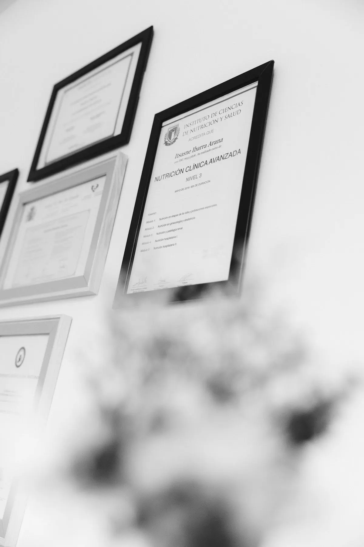 Certificados enmarcados en la consulta de Itsasne Ibarra Arana