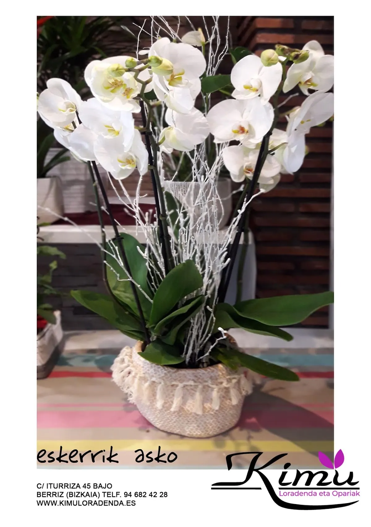 Orquídeas blancas en una composición floral de Kimu Loradenda.