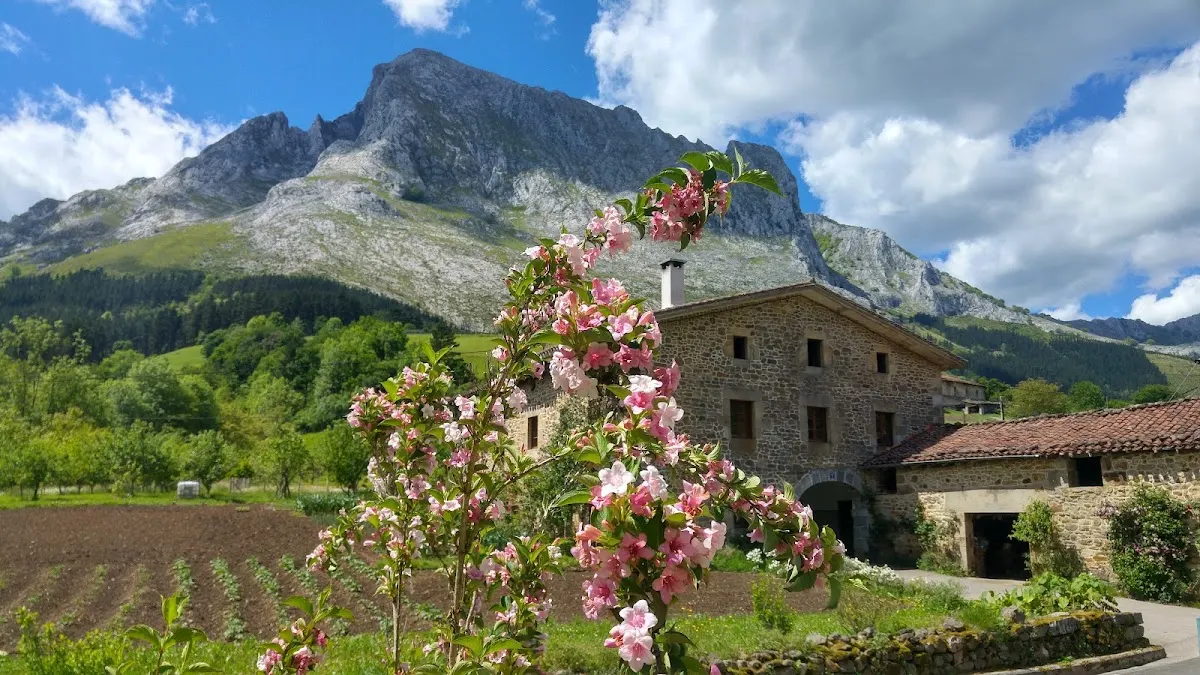 Caserío de piedra de Lekun Etxea rodeado de flores y montañas