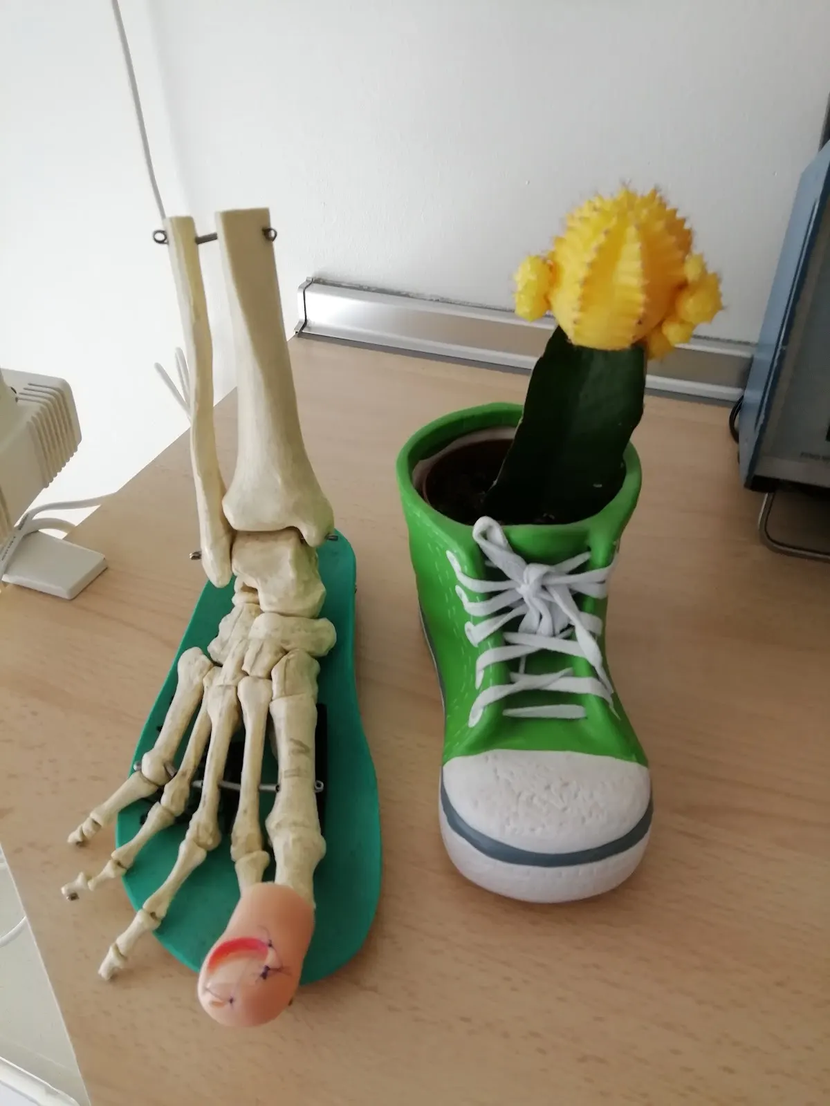 Esqueleto de un pie junto a una zapatilla verde con una flor, en una imagen de Minerva Olmedo, Podólogo.