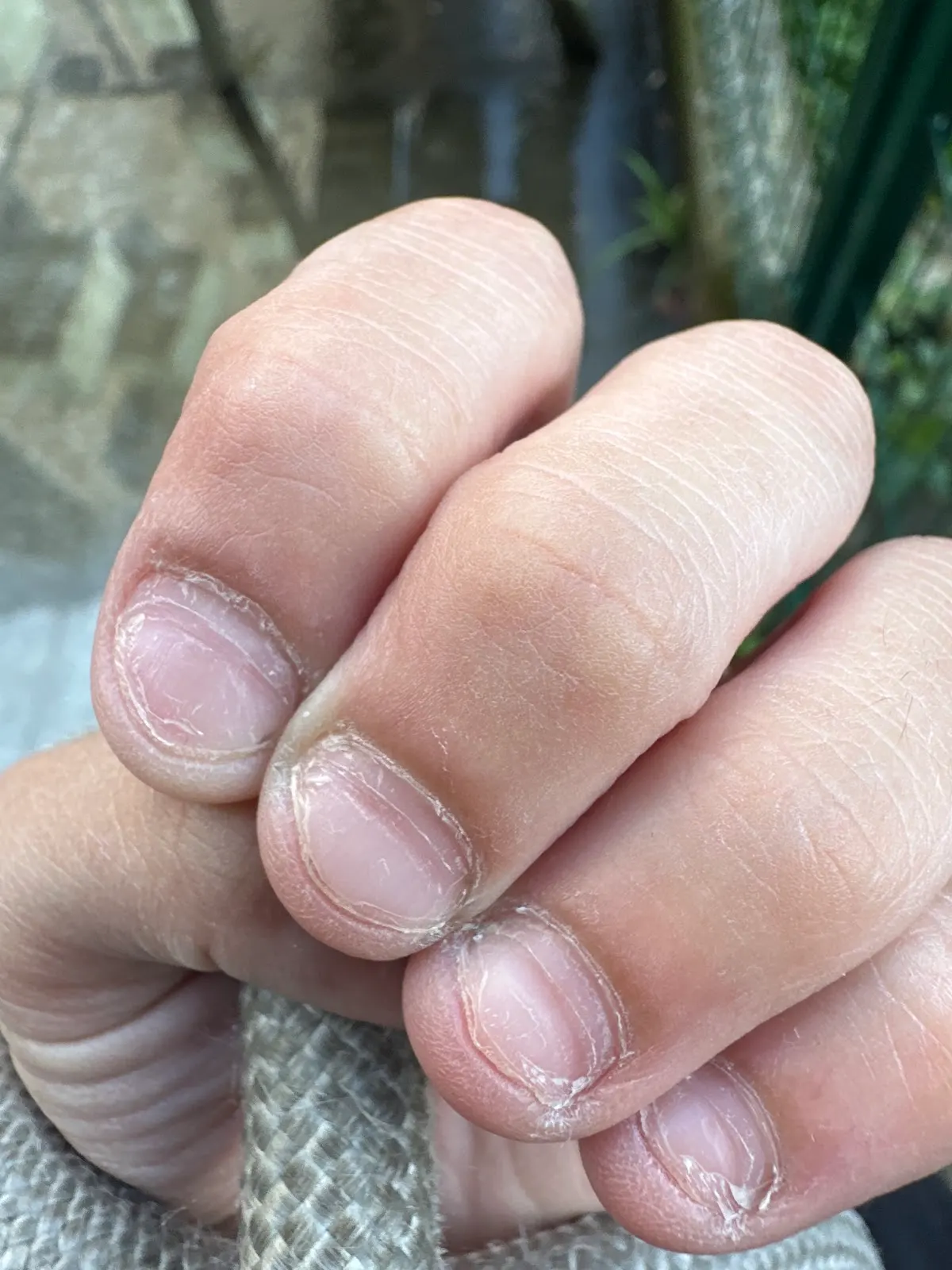 Uñas naturales cortas en una mano en Nails Siona