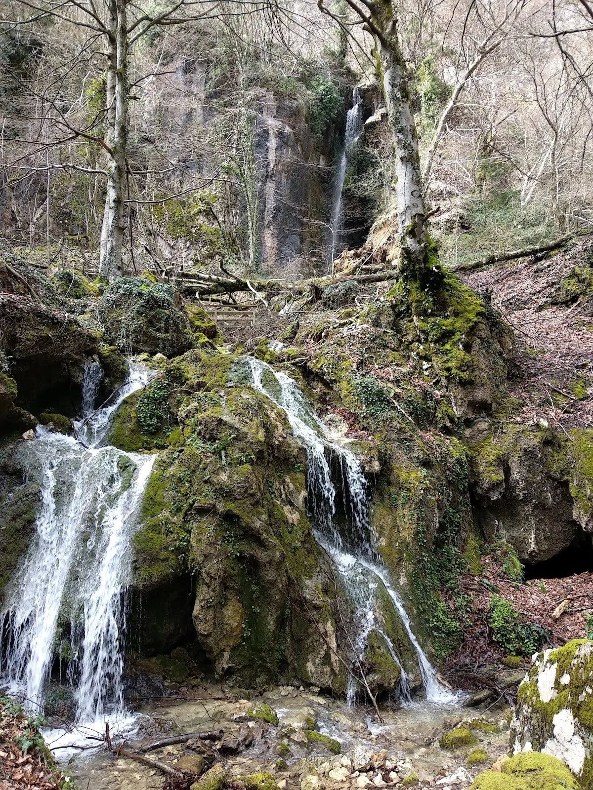 Cascada entre árboles y rocas