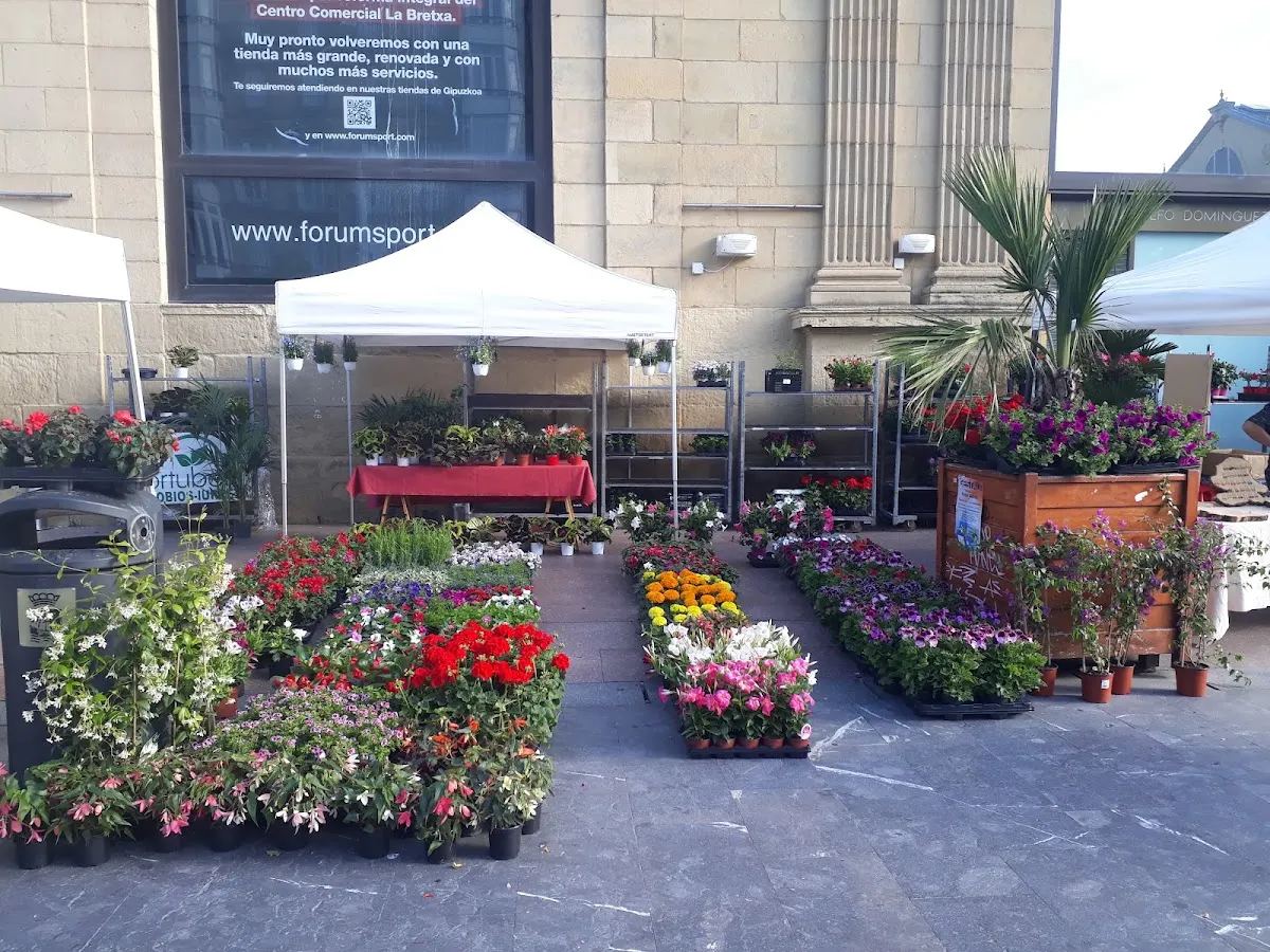 Puestos de flores y plantas de Ortuberri en una plaza, bajo carpas.