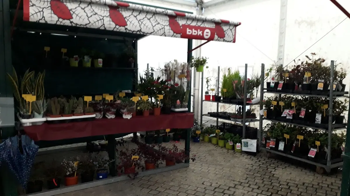 Plantas en macetas expuestas en el vivero Ortuberri.