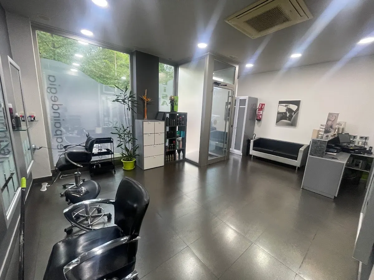 Interior de Peluquería Elisa Ileak con sillones y puestos de peluquería