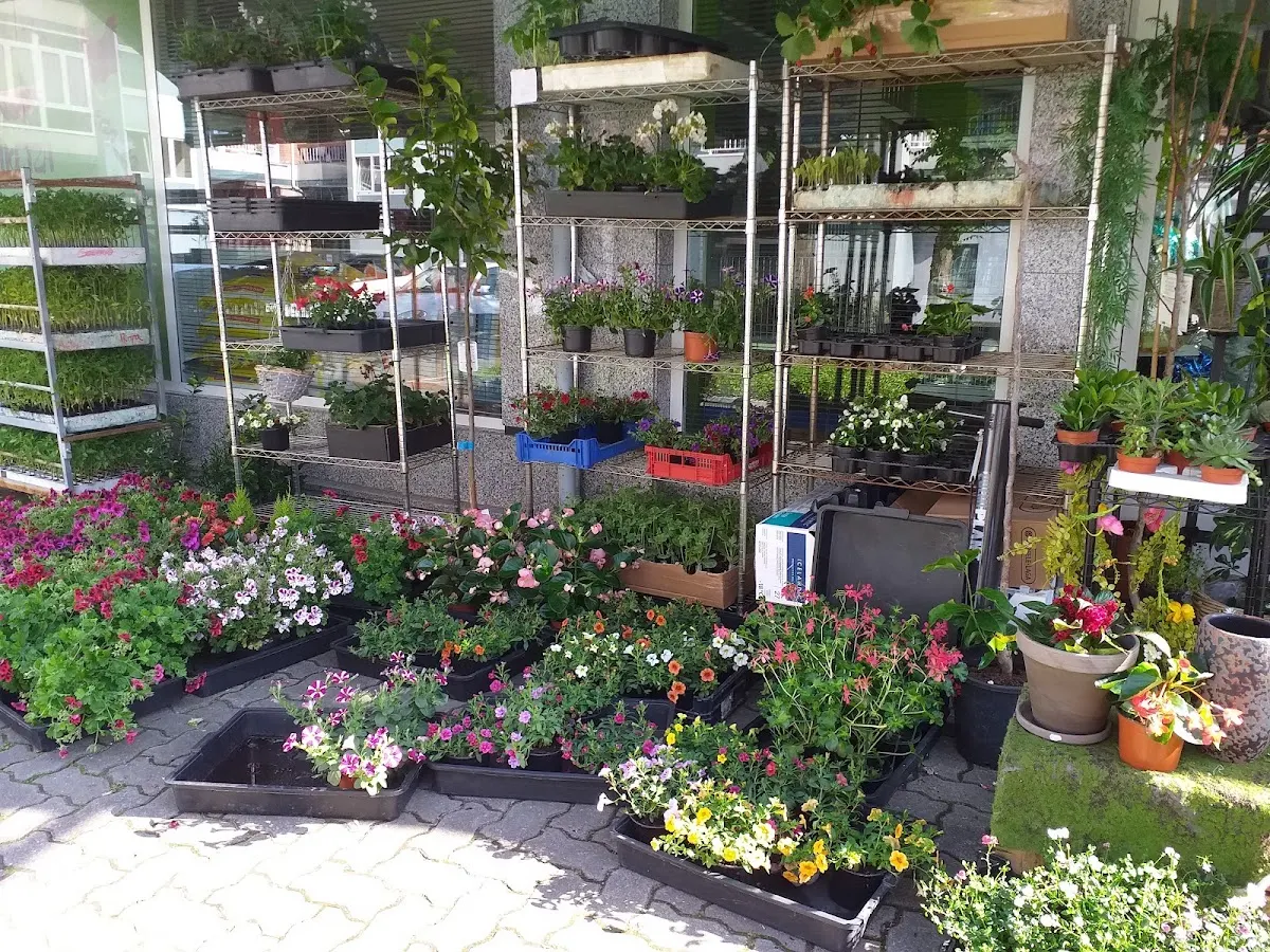 Exposición exterior de plantas y flores en PIENSOS GISASOLA PENTSUAK EKOGARDEN