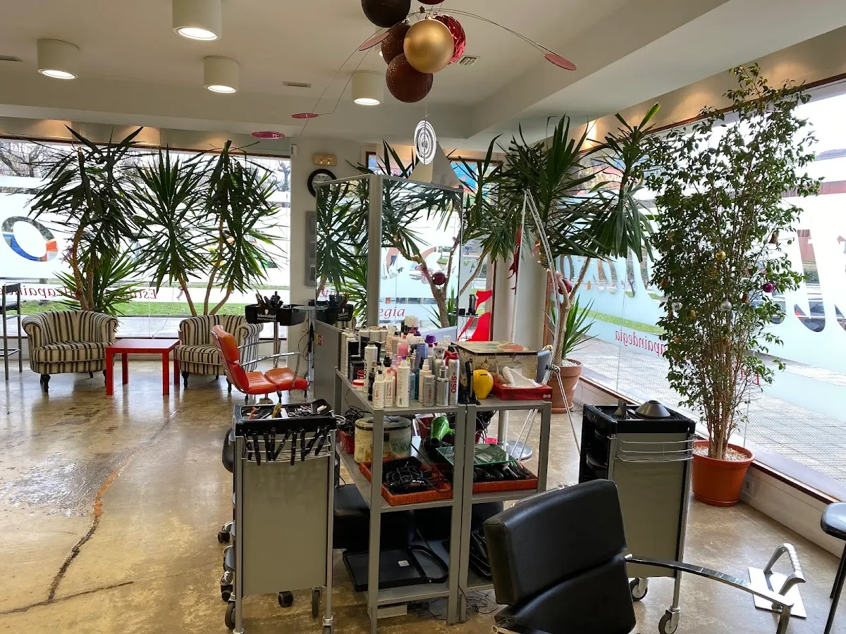 Interior de la peluquería Pilar Olaso con puestos de trabajo y plantas