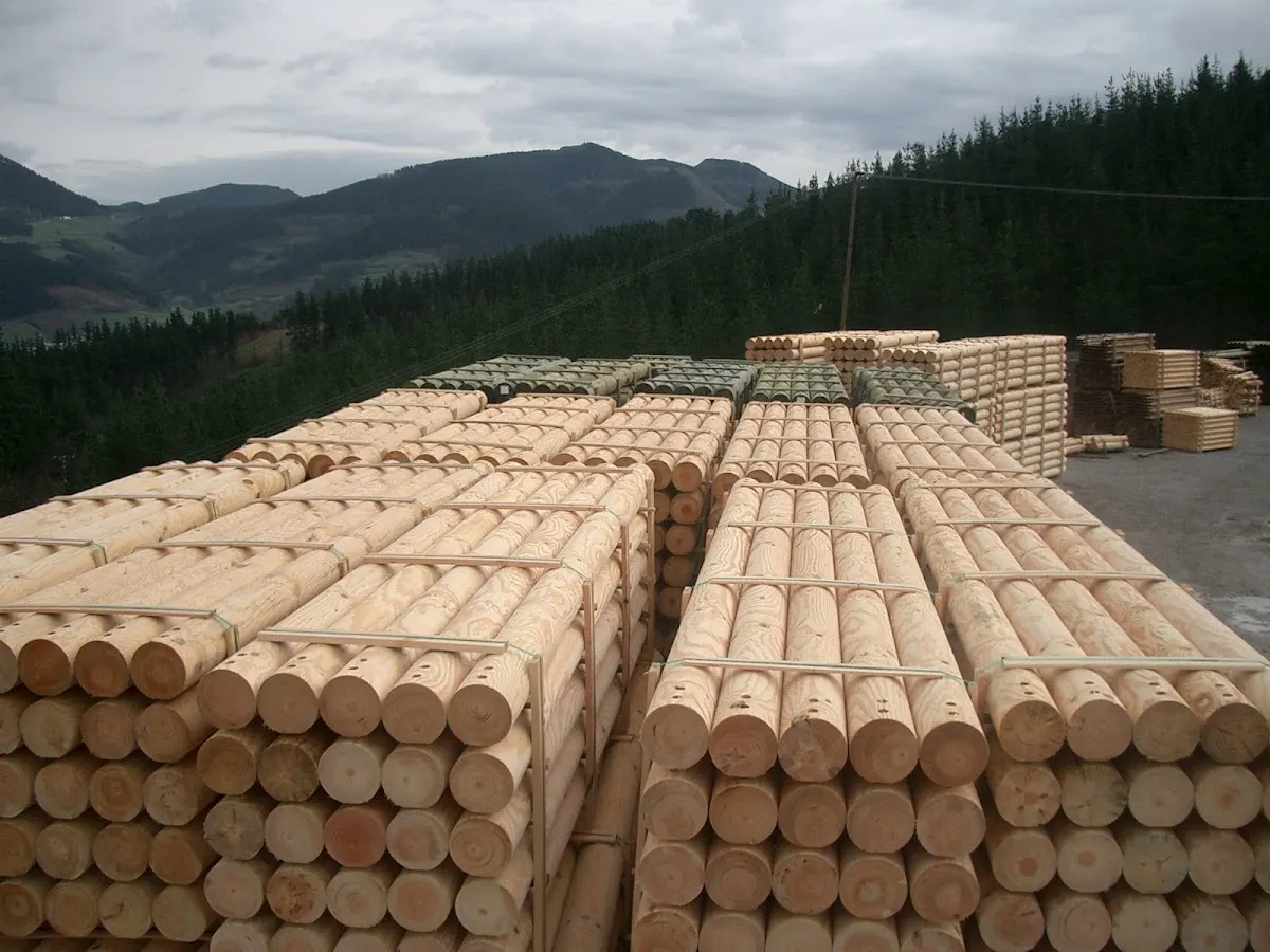 Troncos de madera apilados al aire libre en un paisaje forestal
