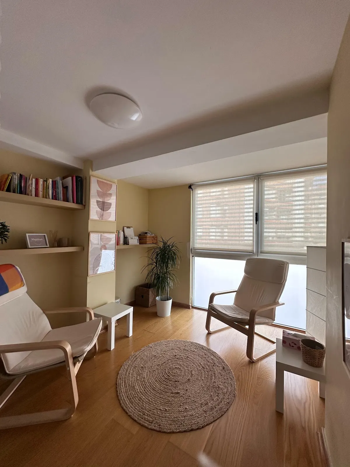 Sala de espera de Magalean, con sillones, estanterías y luz natural.