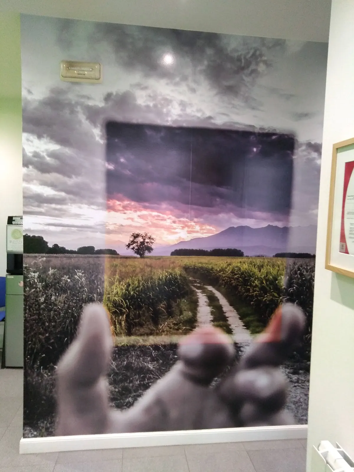 Imagen decorativa de un camino entre campos en el interior de Psikologoak.