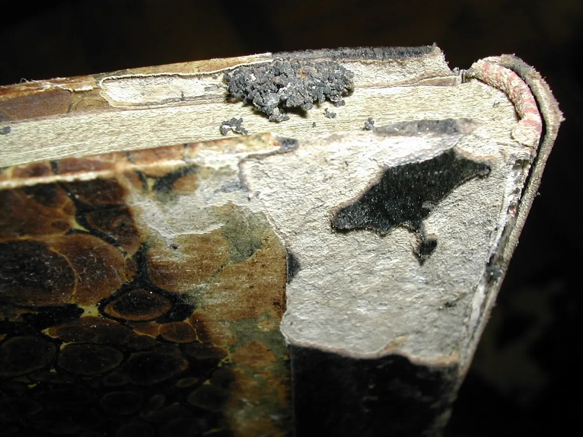 Detalle de un libro antiguo con daños y deterioro