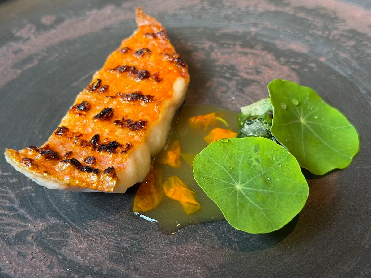 Plato de Txispa con pescado a la plancha y hojas verdes