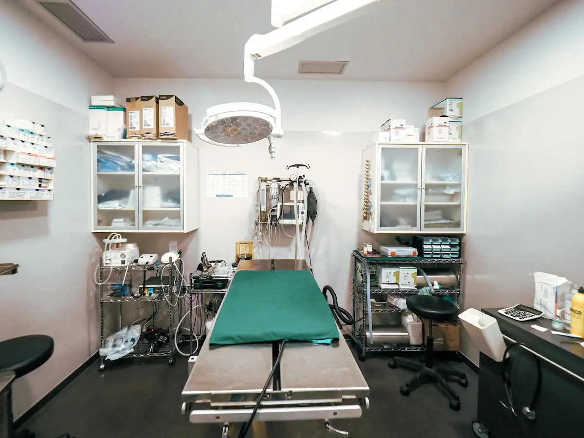 Sala de exploración y tratamiento veterinario de Zaindu