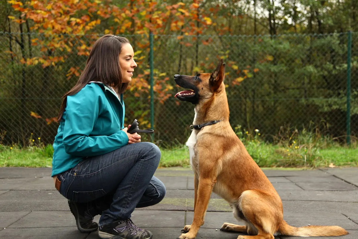 Una adiestradora trabaja con un perro en una sesión al aire libre.